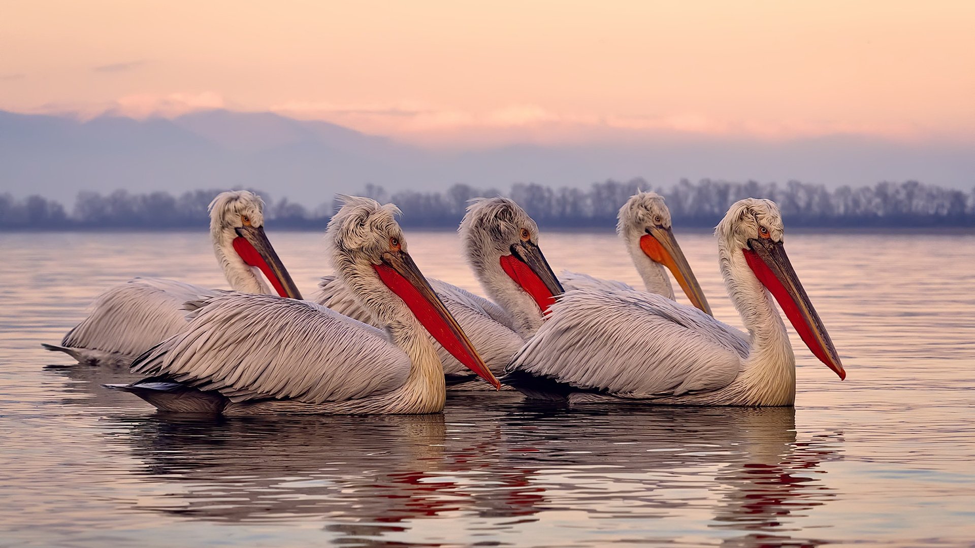 佛罗伦萨惨败揭中韩足球残酷差距！金玟哉独享亚洲后卫历史第一荣耀