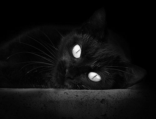 超级进化！字母哥暴力美学撕碎猛龙，篮网三巨头隐身背后藏新王？